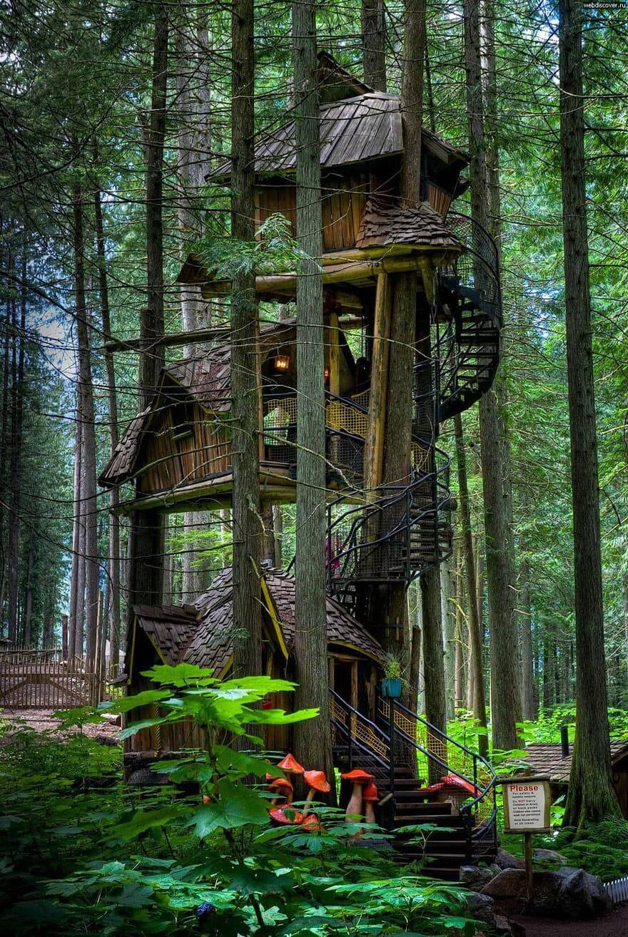 Amazing Backyard Tree House Getaways