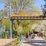 Zoo with Multiple Galvanized Staircase