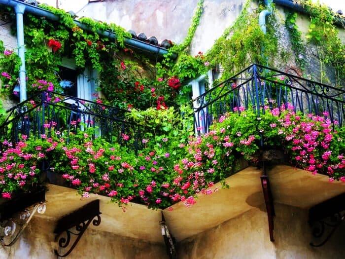 balcony-designs-foliage