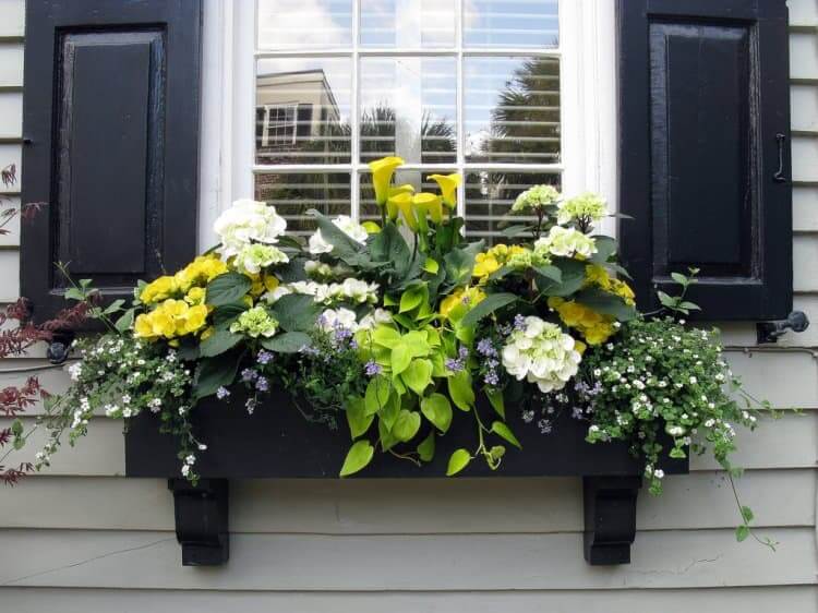 window-planters