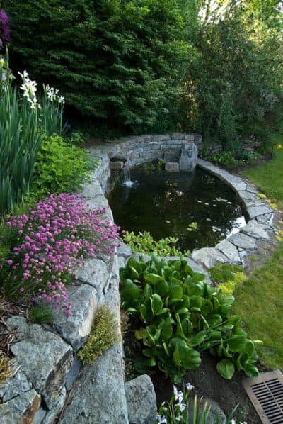 small-backyard-pond